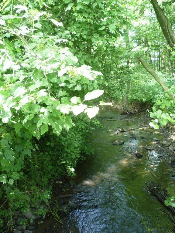 Restaurant Zur Blume Διαμέρισμα Hattingen Εξωτερικό φωτογραφία